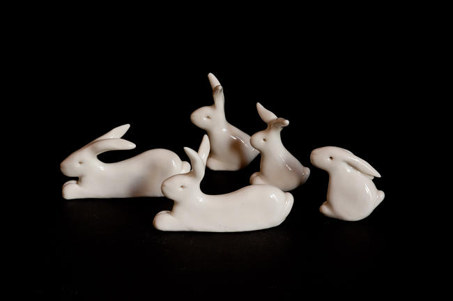 Bunny Rabbits