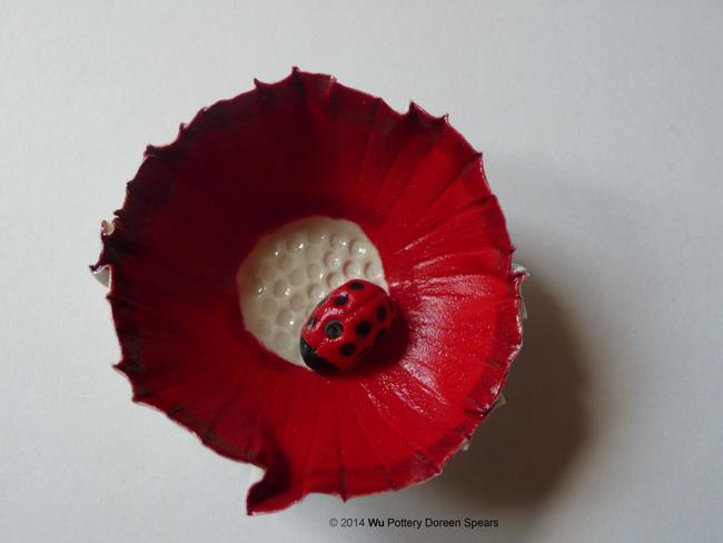 RedPoppyLadybird