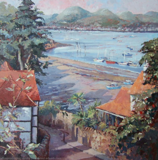 Deganwy from Conwy Town Walls
