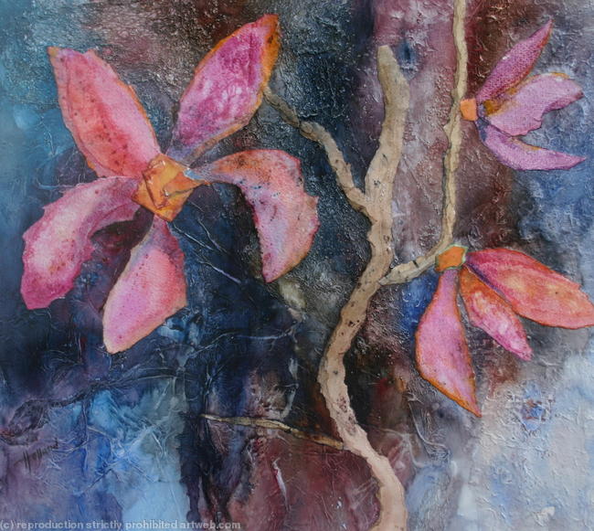 Magnolia 1