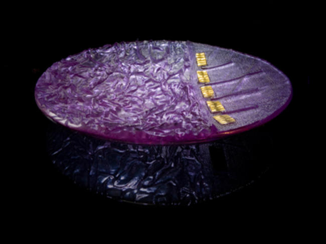 'Crinkle and Line', kiln cast glass