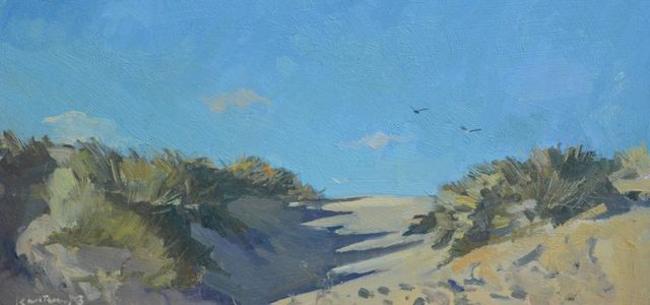 Dune Path