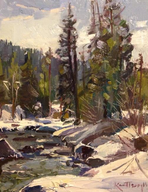Sun, snow and trees colorado