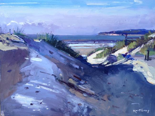 Frost on the dunes