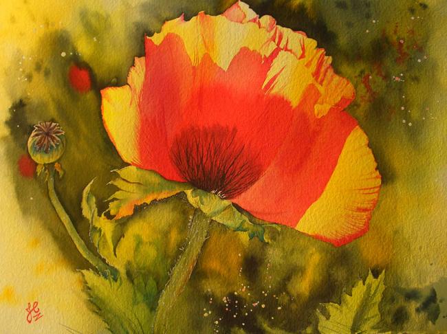 Poppy Shadow
