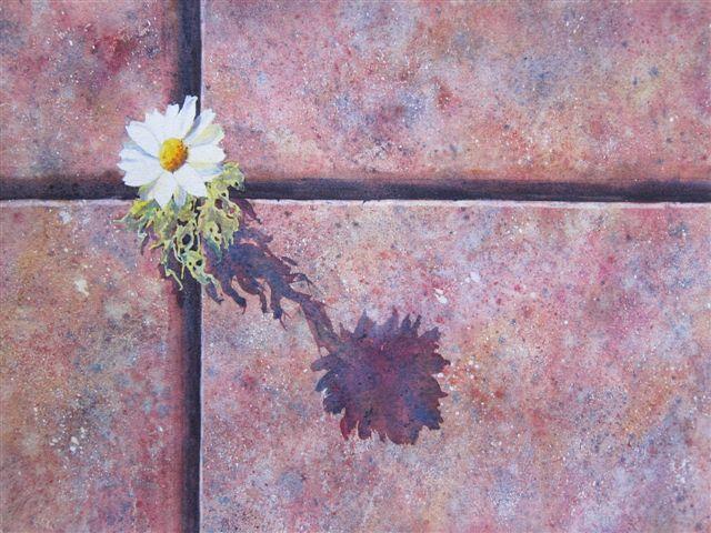 54 Pavement Art 1 - Daisy