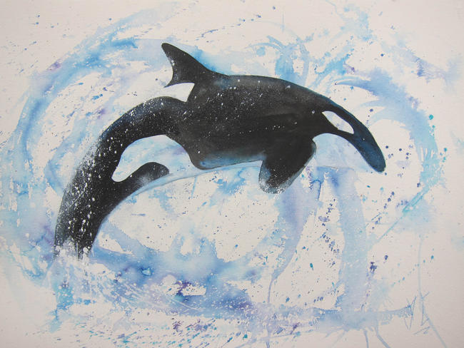 A Bigger Splash (Orca)