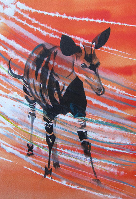 Okapi, Stride N Stripes