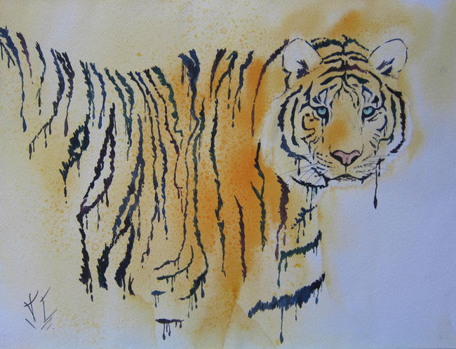 Tiger Tears