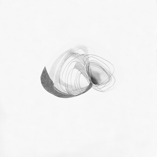 Fossil 6