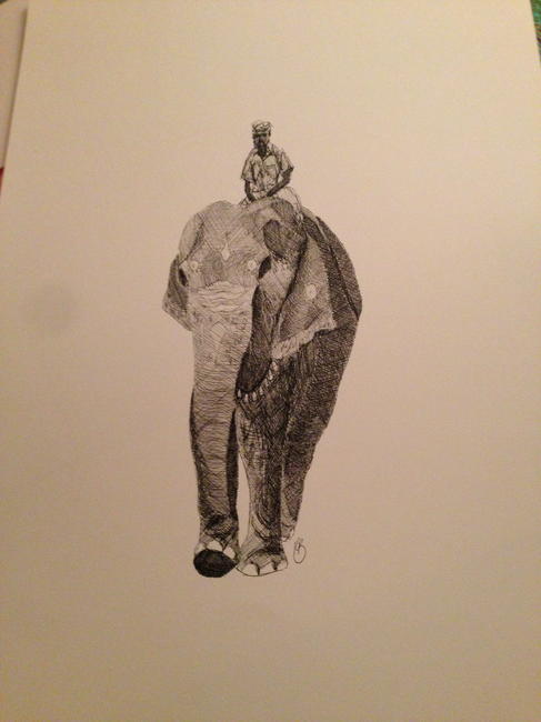 Keralan elephant festival 2