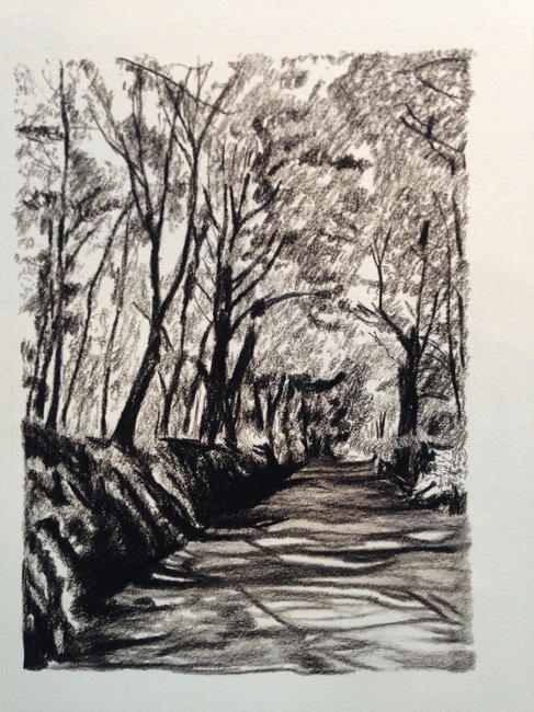 Shadows near Glympton