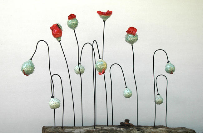 Picardie Poppies