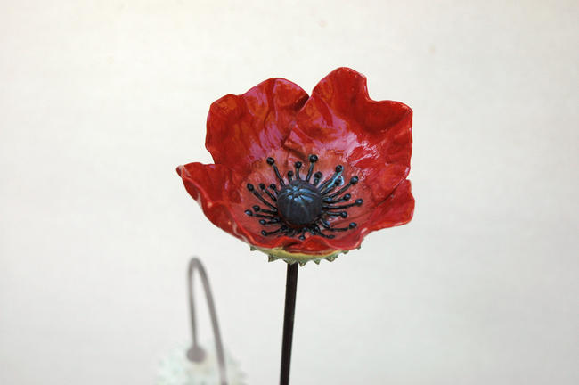 Picardie Poppies detail
