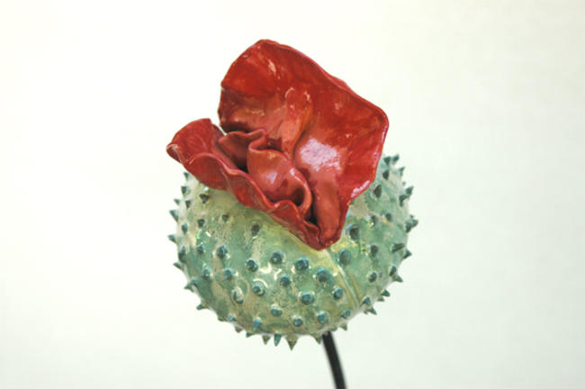 Picardie Poppies detail