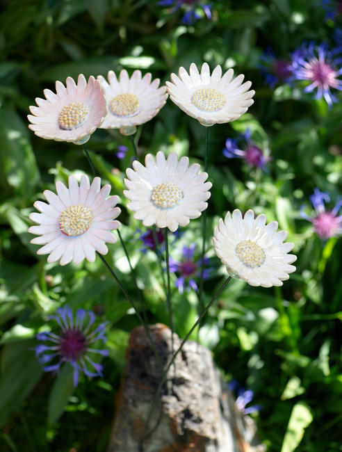 Margueritte sur mer