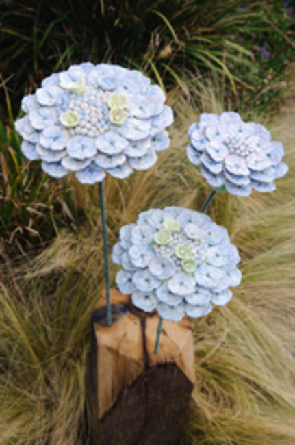 3 Hydrangeas