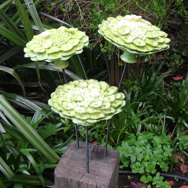 Lime Green Hydrangea