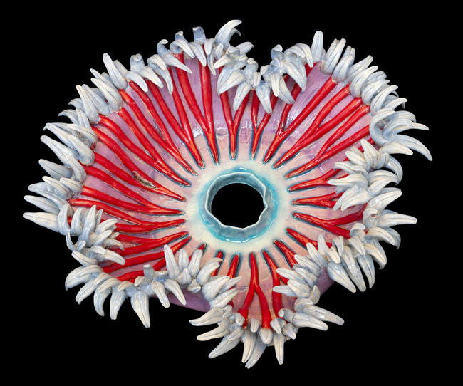 red and purple flower sea anemone