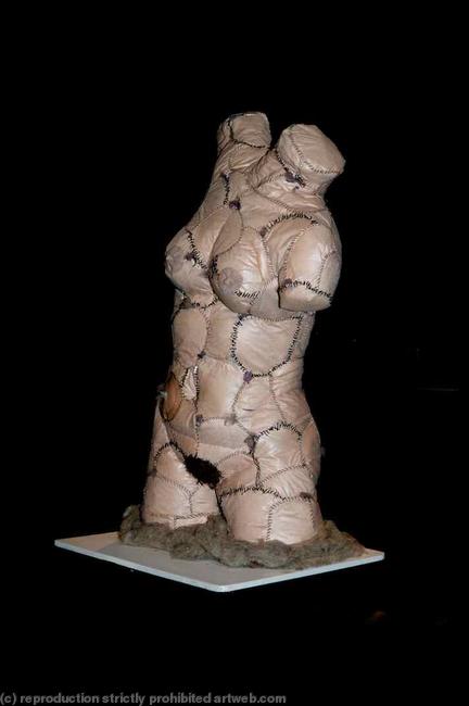 Scarred Venus. Stoma appliances, surgical suture materials and tumble drier fluff.