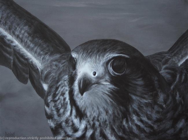 taking flight