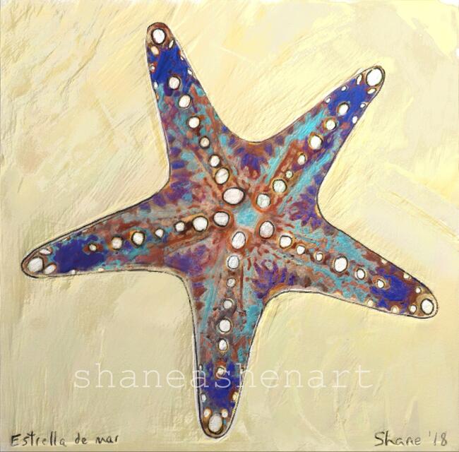 Estrella de mar