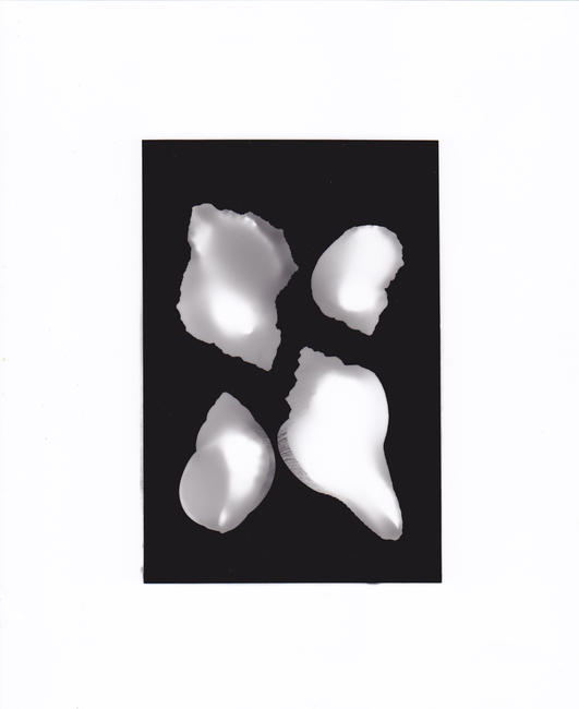 Photogram_12