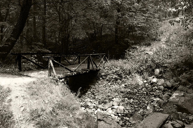 Vitosha_7