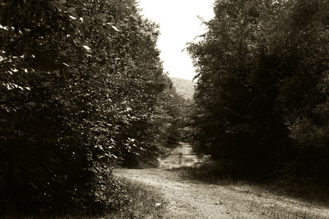 Vitosha_13