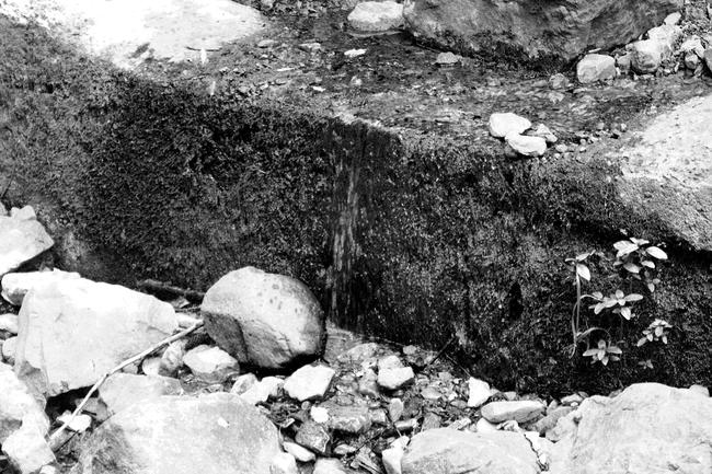 Vitosha_17