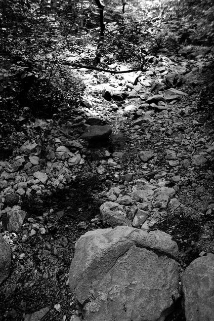 Vitosha_18