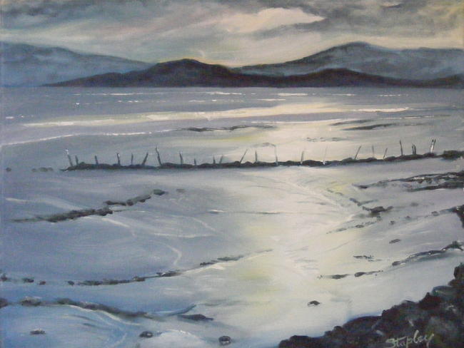 Mud Flats Cardiff