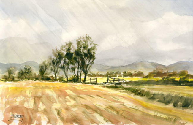 Plowed field wet day