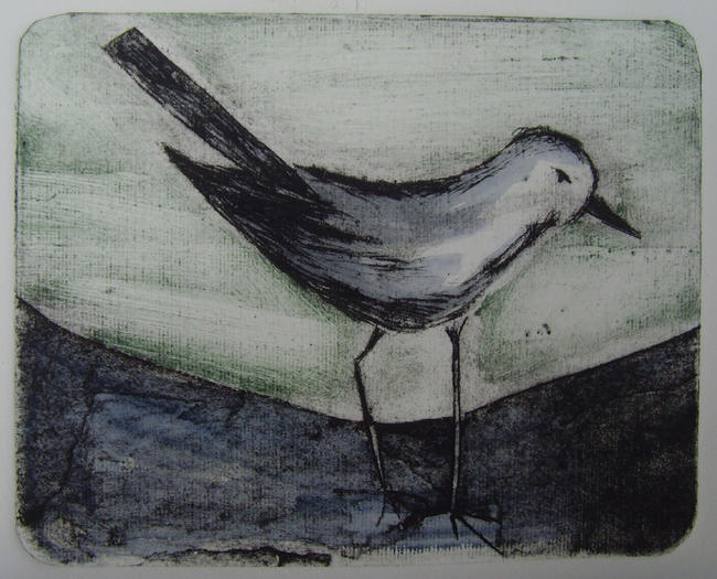 'Wagtail'