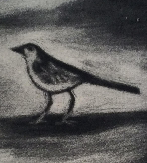 'The Visitor'