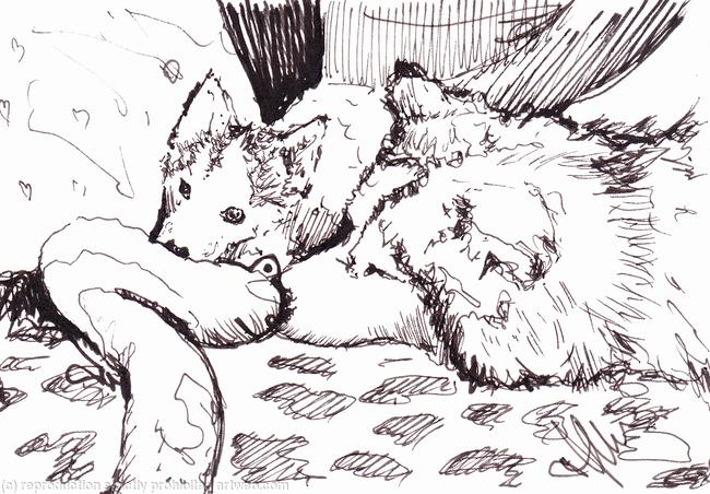 'Mama Bear'