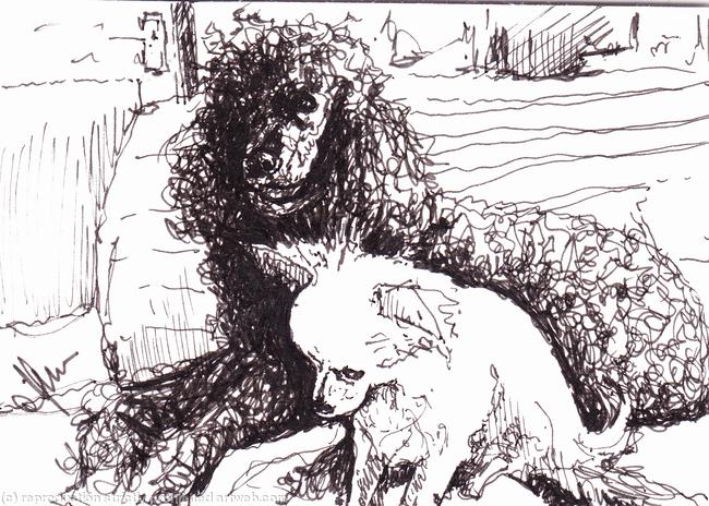 'Alpha and Beta'