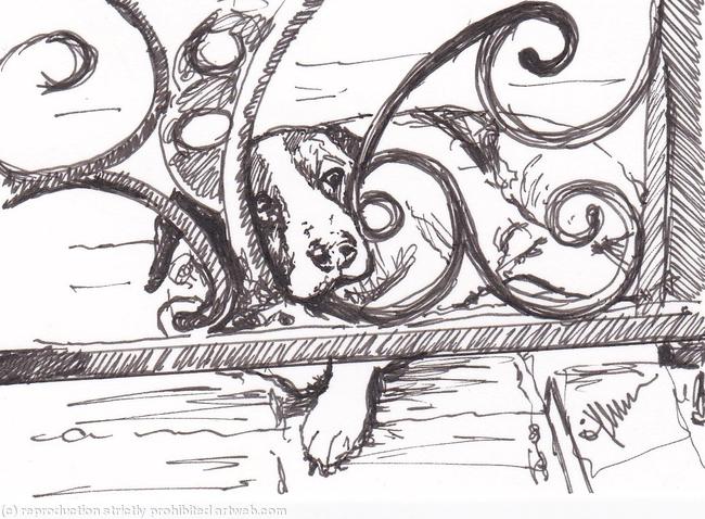 The Gate Keeper