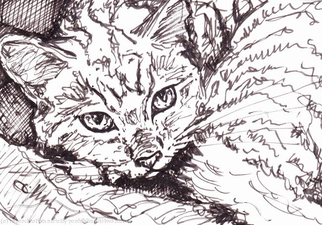 Feral