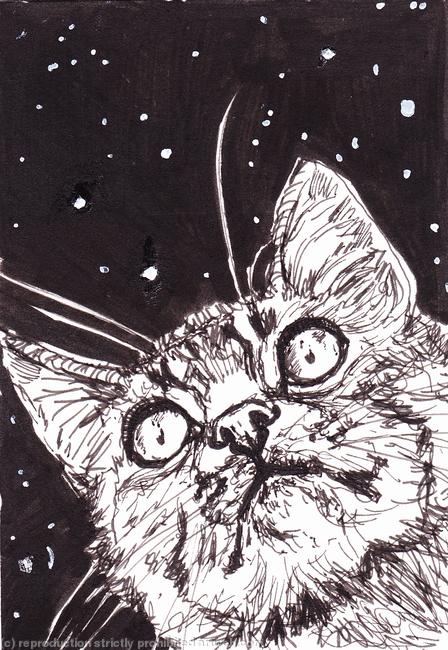 Star Gazing