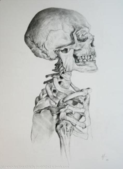 Skeleton Study 2
