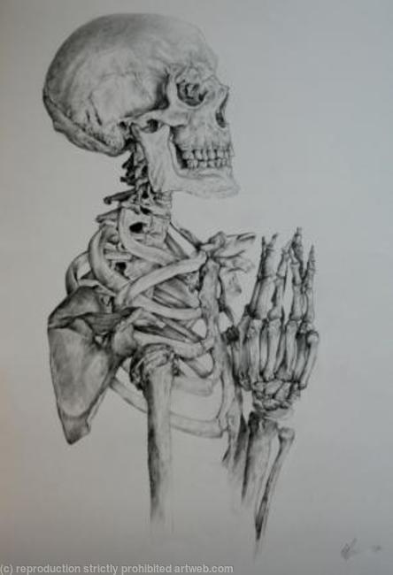 Skeleton Study 5