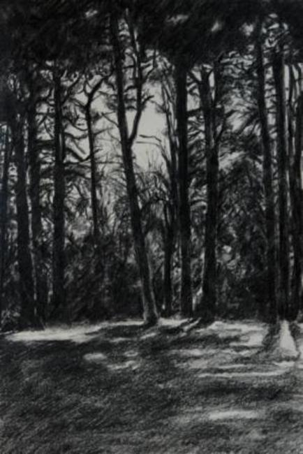 Tree Drawing 1