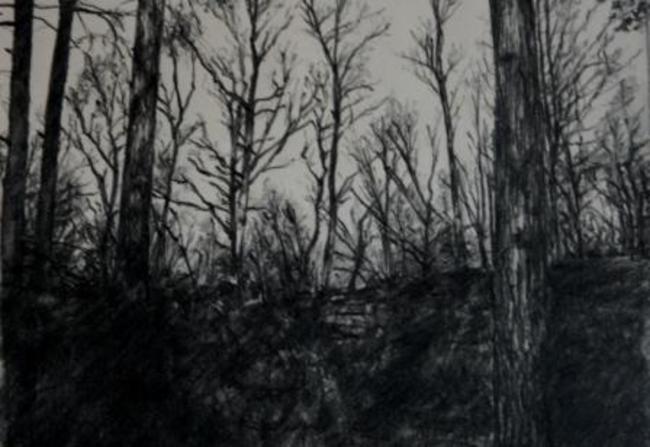 Tree Drawing 2