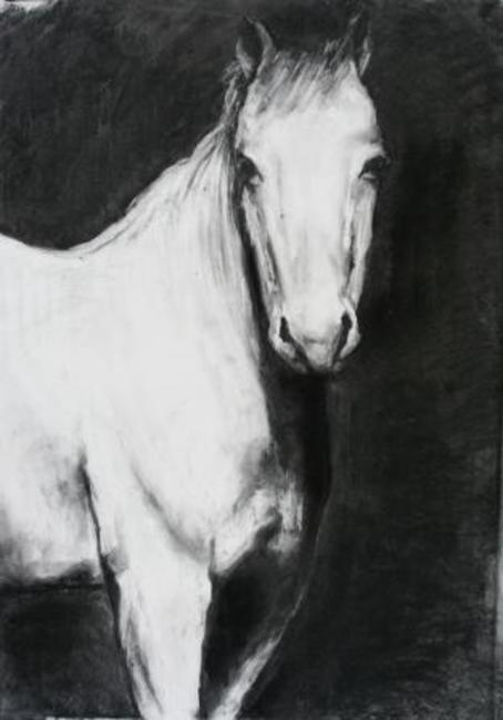 Horse Head Drawing