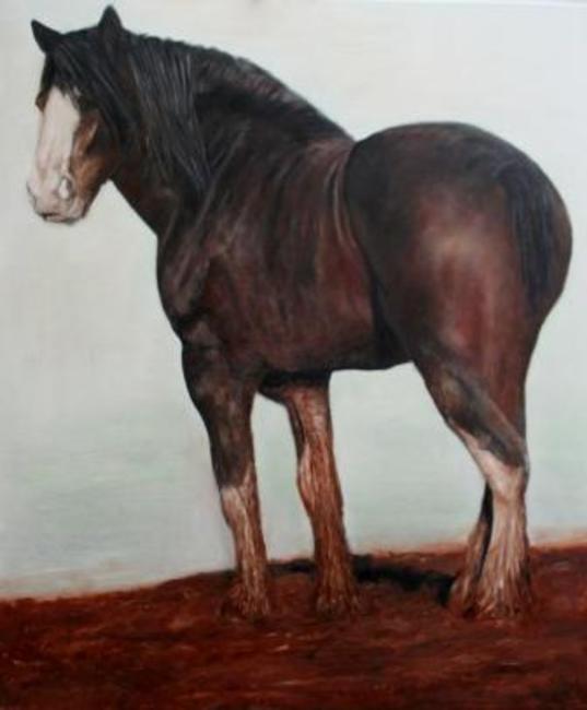 Shire Horse