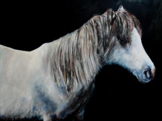Horse Study 2