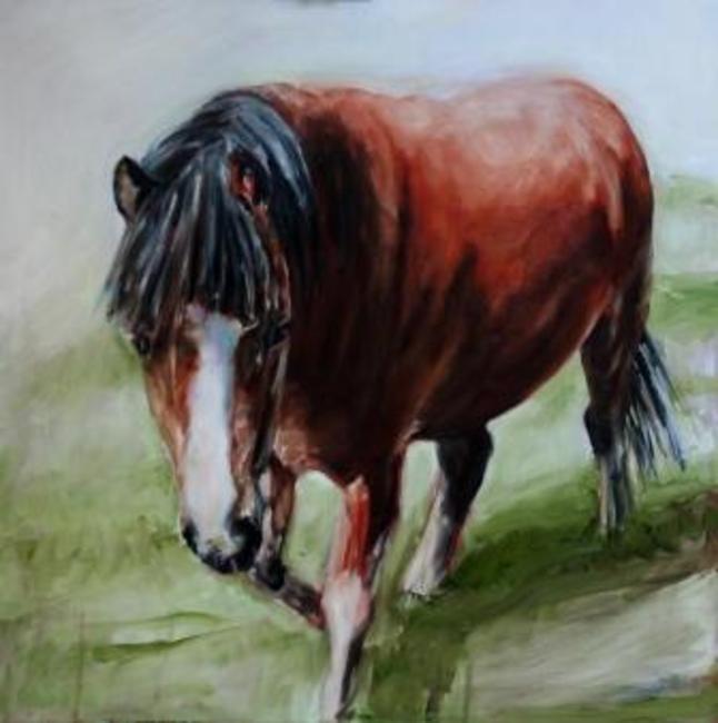 Wild Exmoor Pony 1