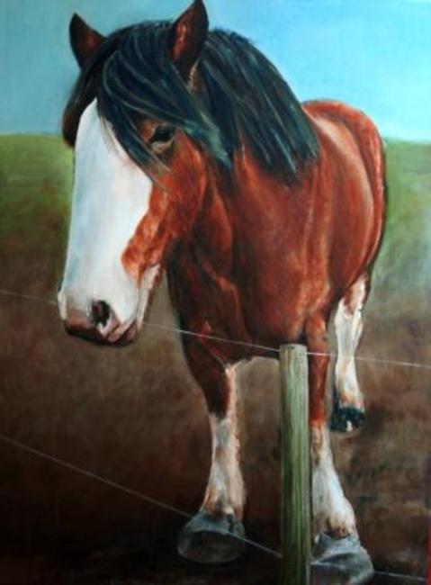 Shire Horse