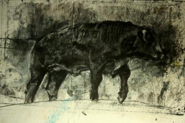 Bull Drawing 2